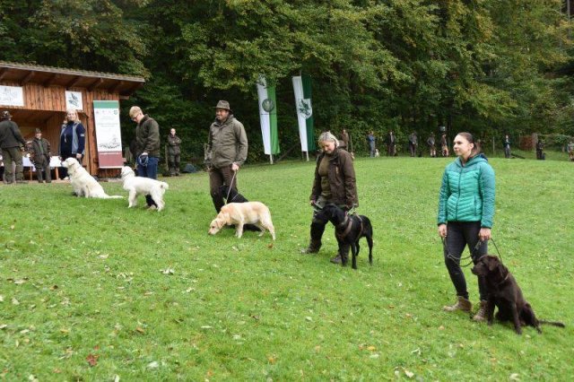 Hundepräsentation 2020
